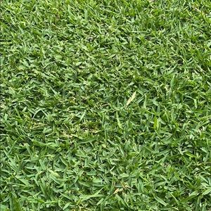 Meet your Posher, Grant